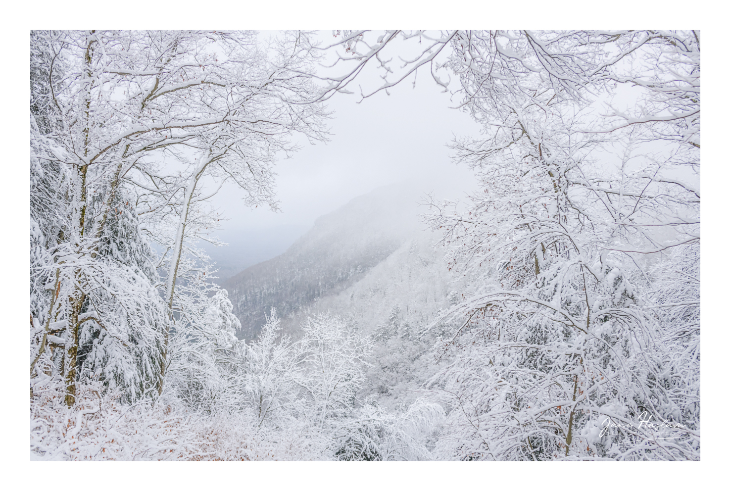Navigating Winter Landscapes: A Photographer's Guide – Impressions