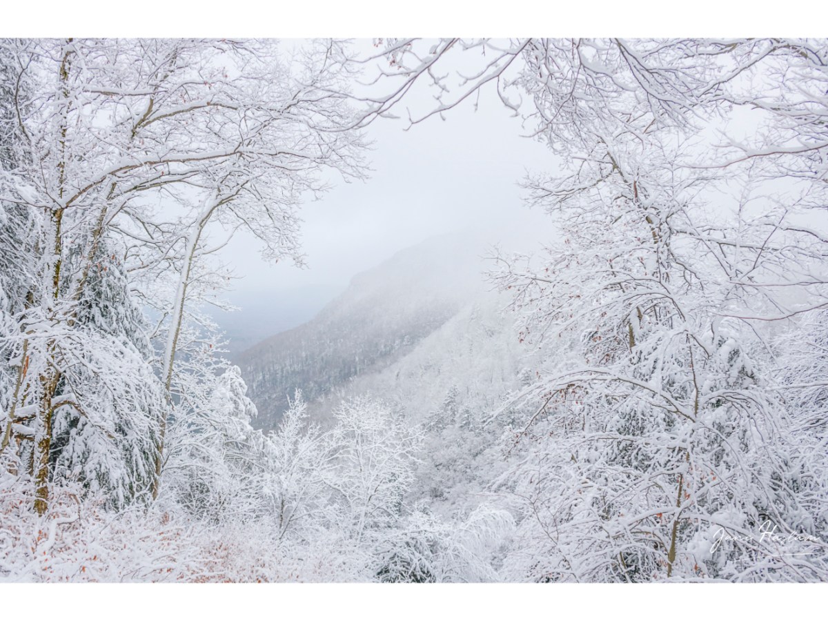 Navigating Winter Landscapes: A Photographer’s Guide