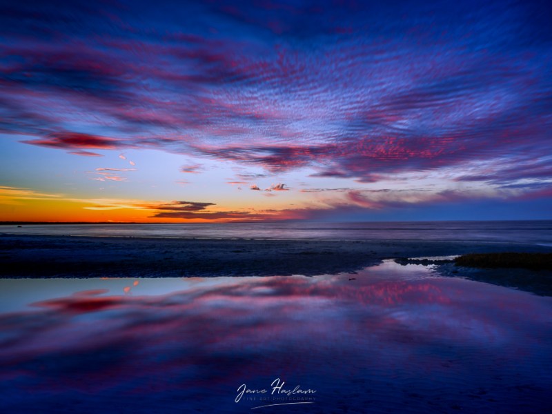 Dreaming in Colors borrowed from the&nbsp;Ocean