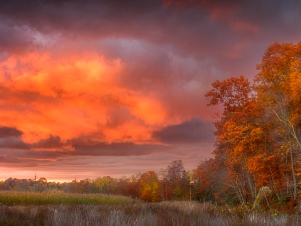 Is it November&nbsp;already?