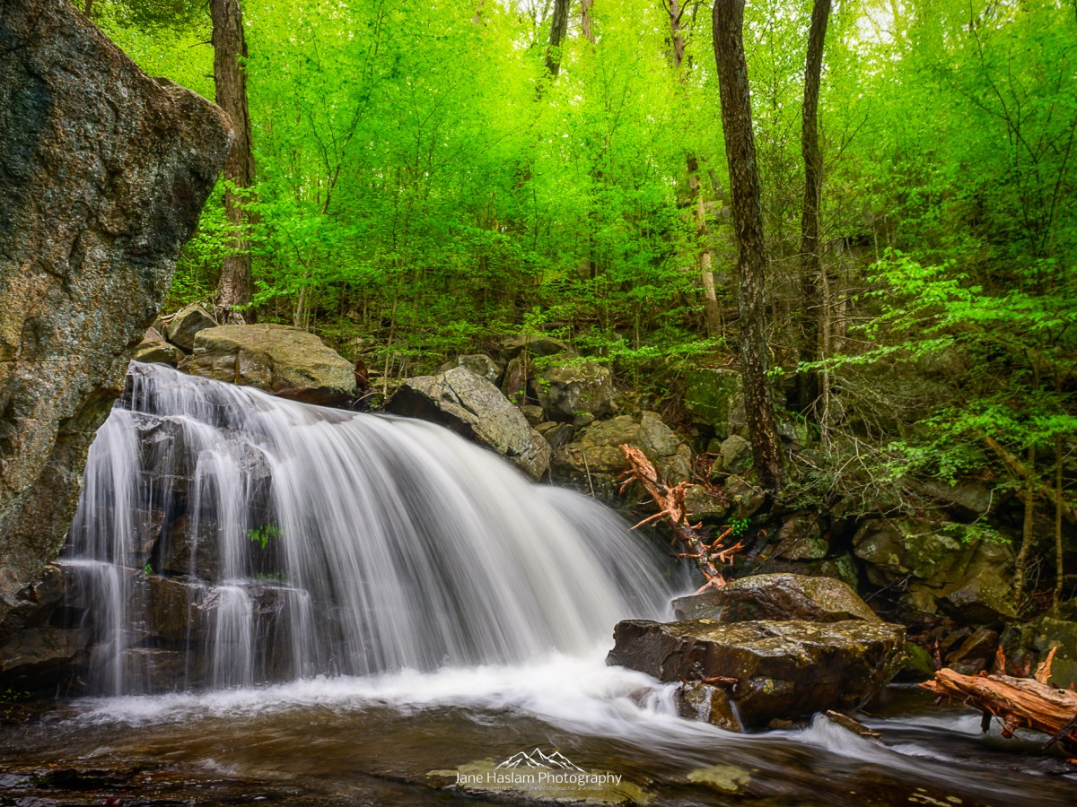 Mid Summer Already!!!!